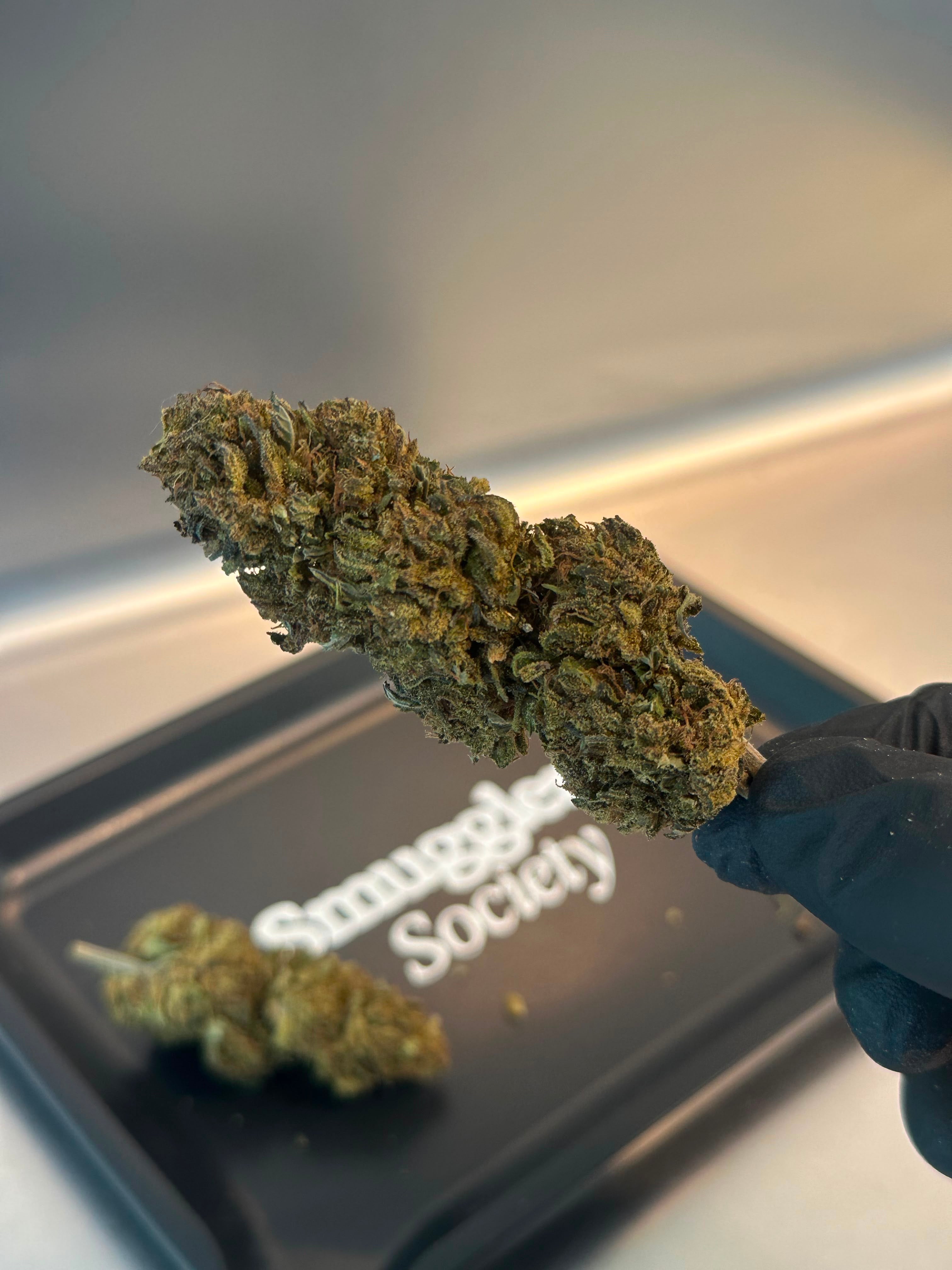 Sour Blue Berry Kush par Izno