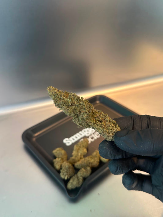 Zenethis by Cbdank