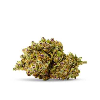 TEQUILA SUNRISE CBD COOKIES ( 3,5g )