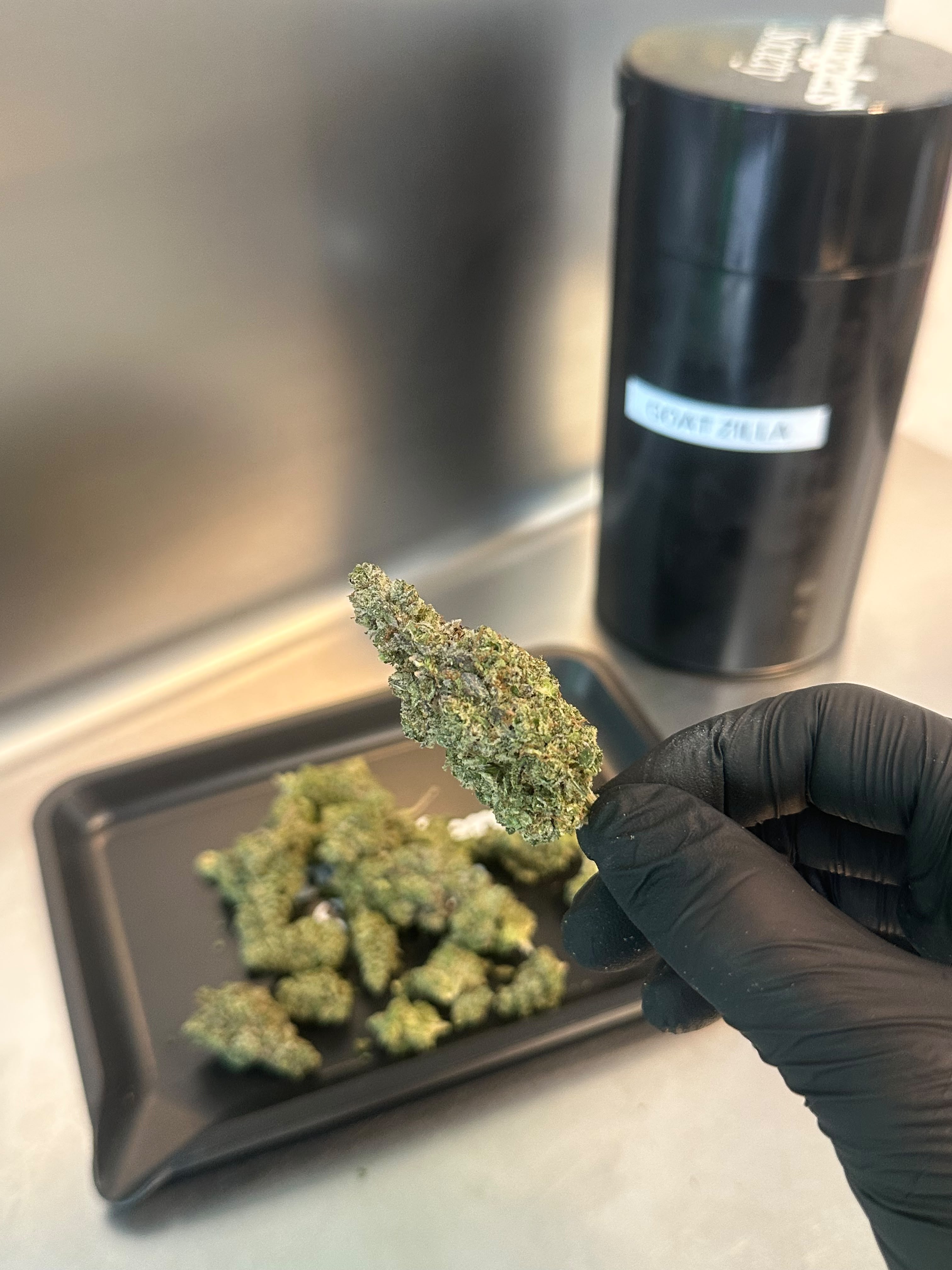 Goat Zilla, fleur de CBD